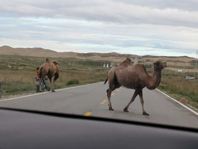 敦煌租車(chē)價(jià)格