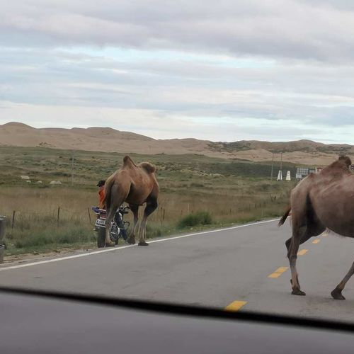 敦煌市逐西租車_汽車空調(diào)夏天使用保養(yǎng)方法及注意