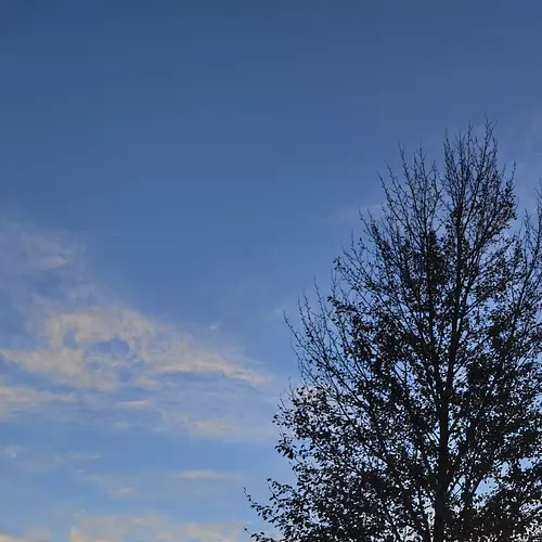 來西北甘肅敦煌公司團(tuán)體旅游或者企業(yè)外地開會租車包車時的注意事項有哪些？