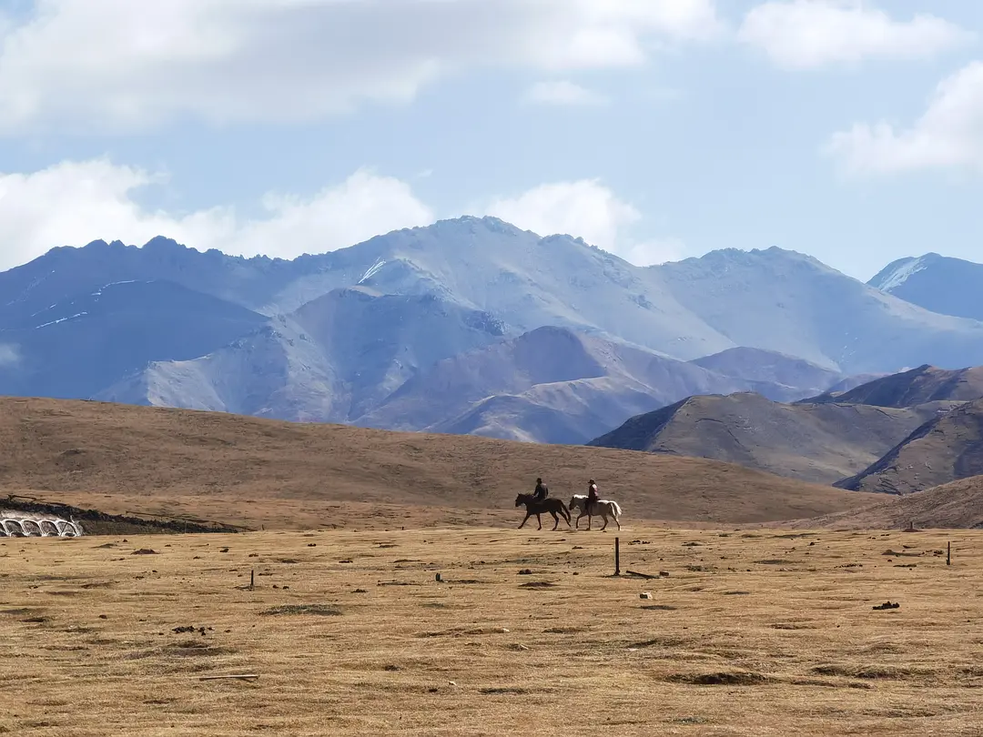 甘肅敦煌逐西教您婚車租賃公司選擇及婚車租賃如何節(jié)約成本？