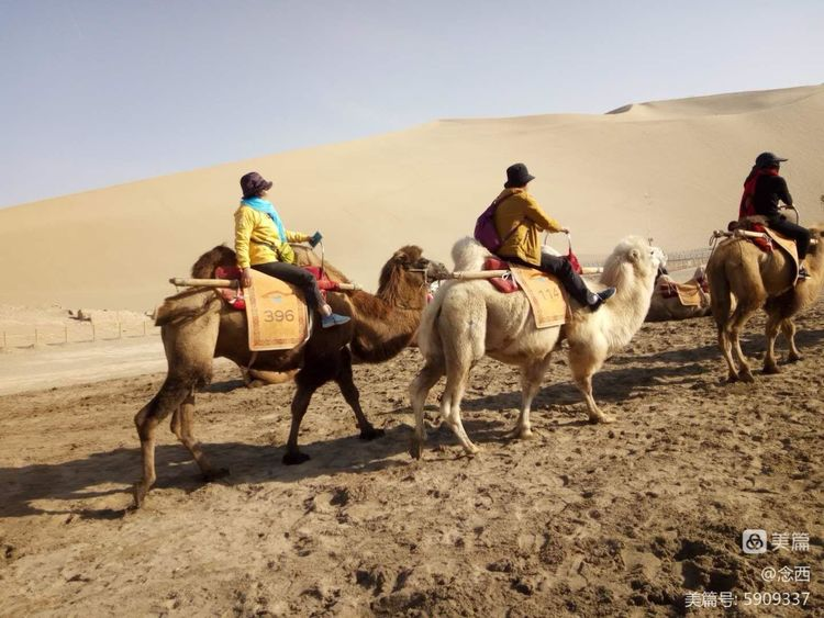 敦煌租車分享倒車時(shí)的幾個(gè)技巧？