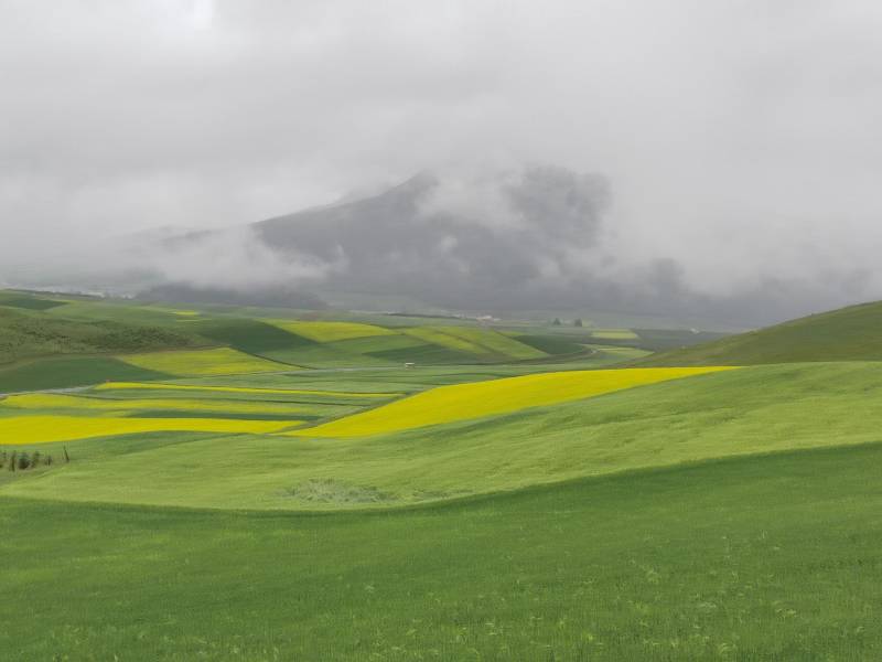 敦煌租車商務(wù)接待租車時(shí)要注意什么？