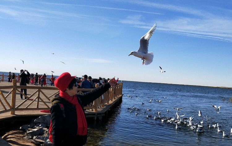 公司和企業(yè)在敦煌租車時(shí)應(yīng)該注意什么？