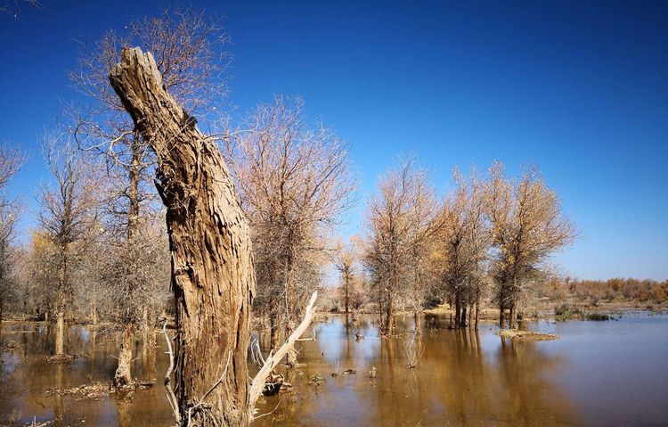 敦煌租車公司對租車時建議及一些注意事項？