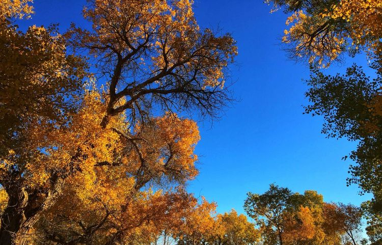 進(jìn)行敦煌包車(chē)租車(chē)商務(wù)租車(chē)要注意那些?