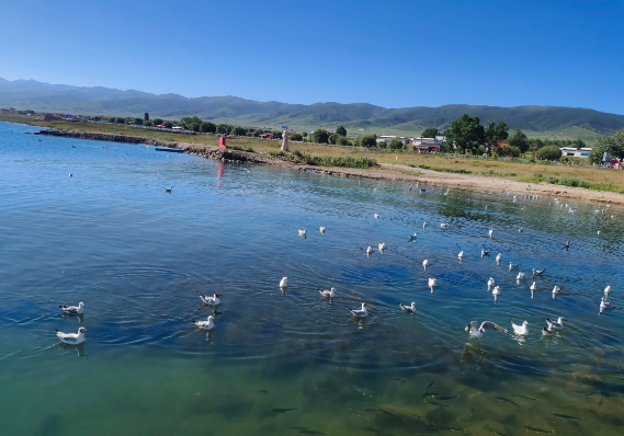 敦煌包車(chē)租車(chē)同時(shí)的一些注意事項(xiàng)是什么？