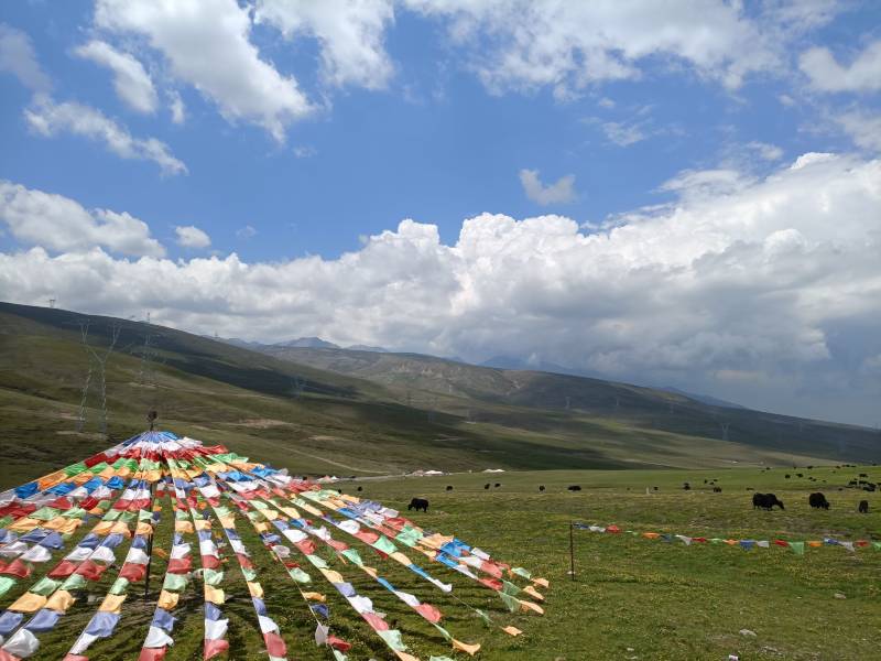 敦煌包車(chē)長(zhǎng)期租車(chē)市場(chǎng)的現(xiàn)狀如何？