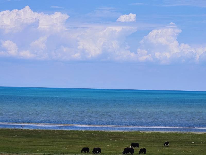 敦煌包車(chē)租車(chē)讓出行更加舒適