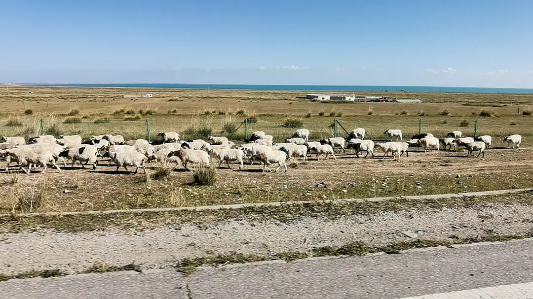 敦煌逐西租車公司：汽車租賃公司遇到投訴要怎么應(yīng)對(duì)