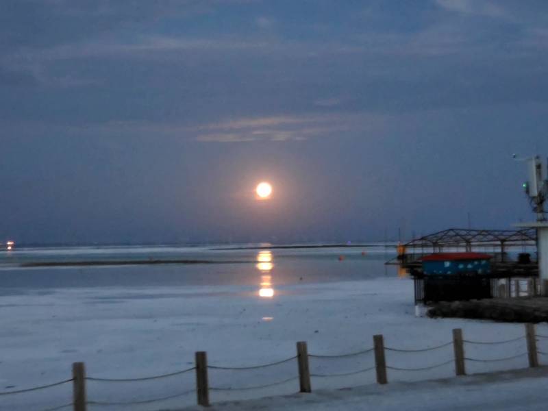 敦煌逐西租車公司：攜帶愛寵自駕的正確方式