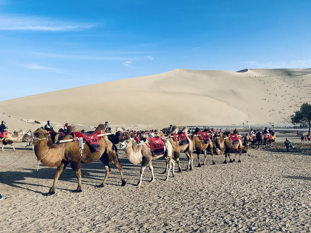 逐西租車公司的專家釋疑：冬季開車為什么油耗會變高？