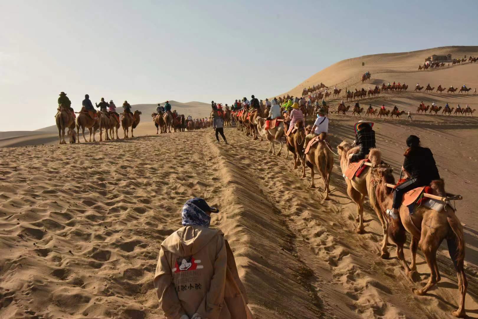 敦煌租車:買車、打的還是租車好？哪個更劃算