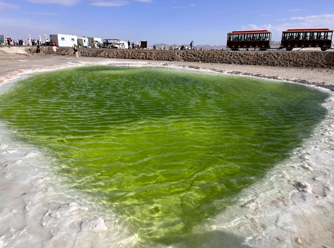 敦煌逐西租車公司：如何選擇一個(gè)合適的敦煌租車公司？