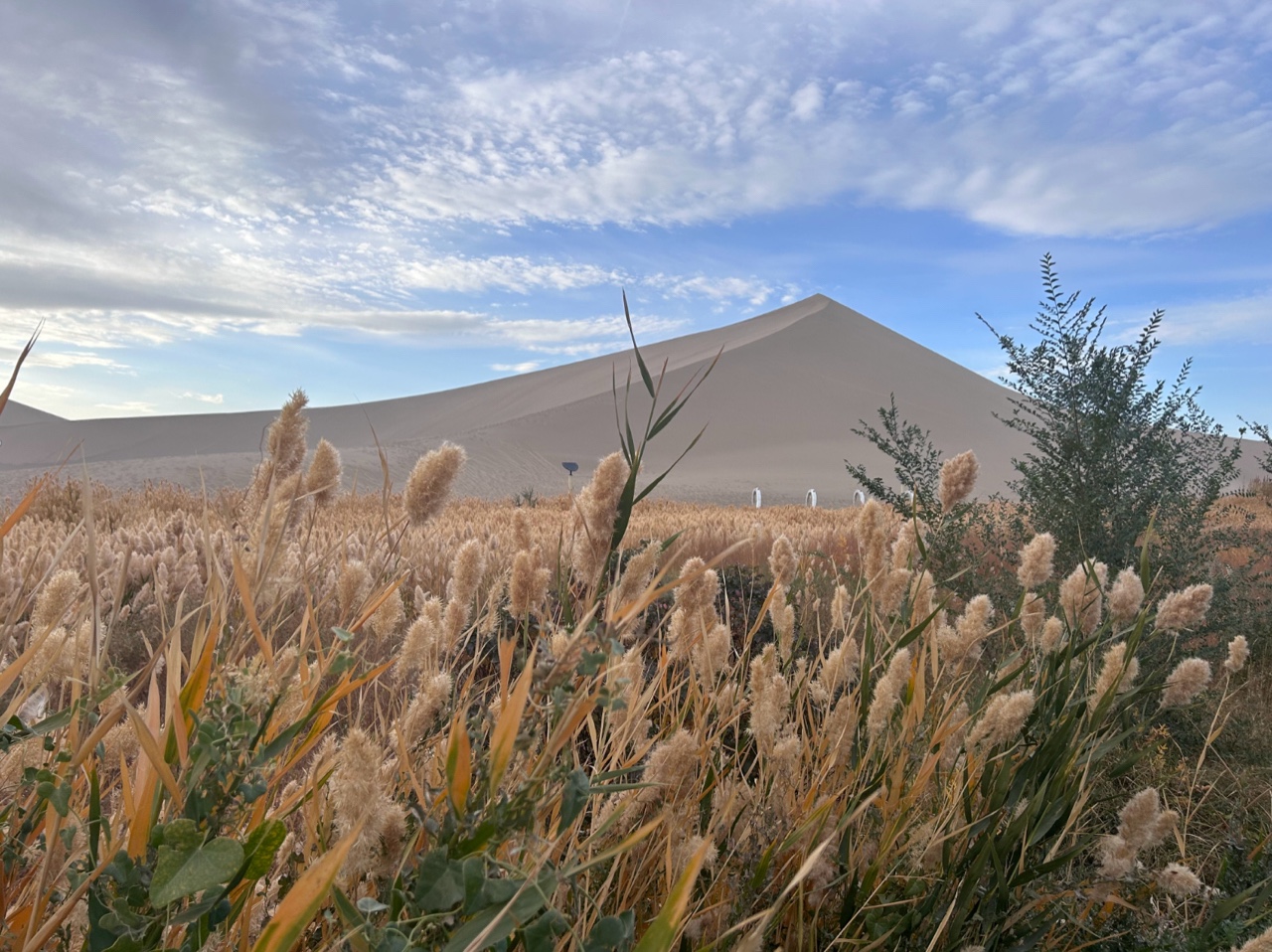 敦煌旅游租車攻略大全