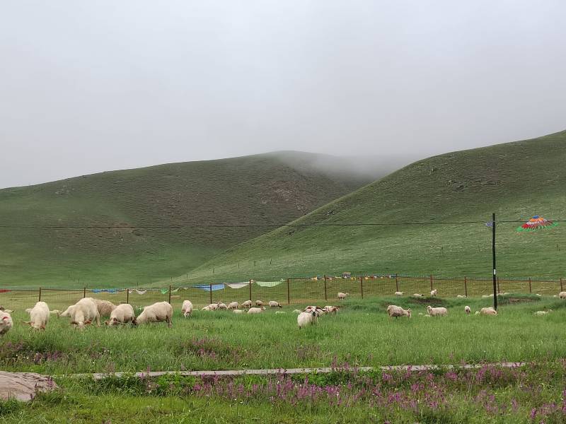 敦煌租車一天多少錢？——探尋租車價(jià)格的奧秘