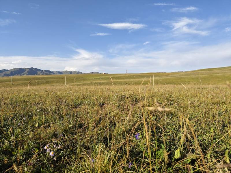 甘肅租車(chē)常識(shí)之新手技巧