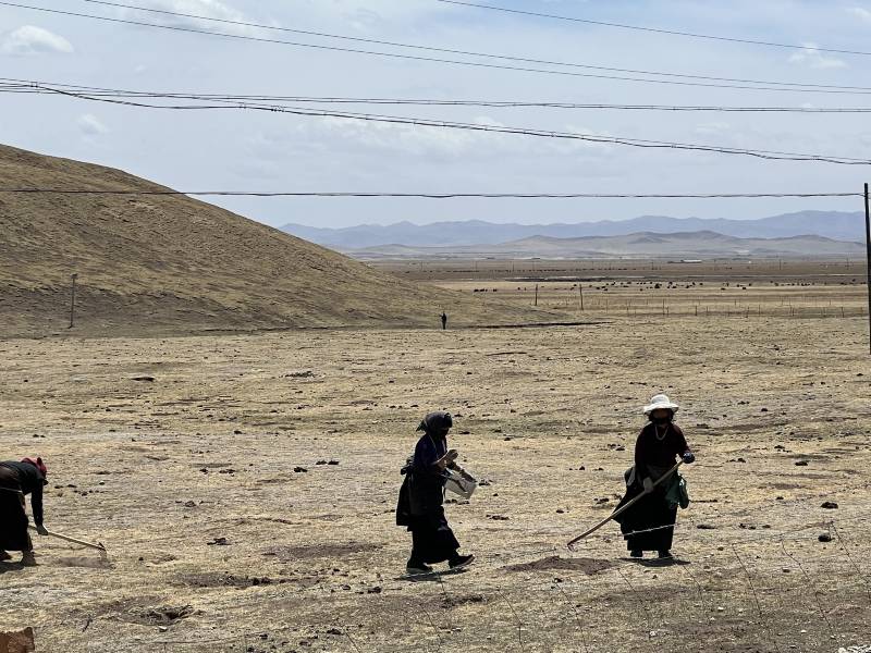 甘肅包車(chē)師傅推薦
