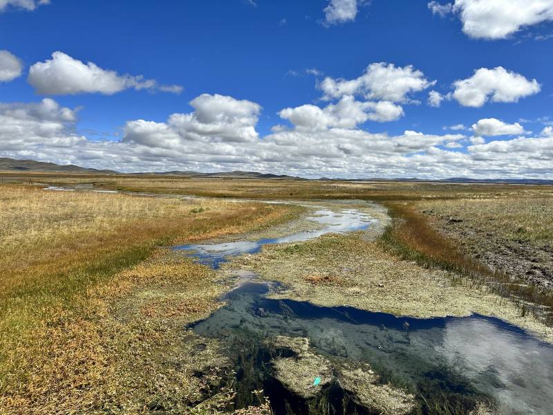 甘肅租車一天多少錢？