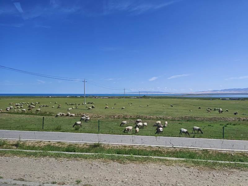 夏天怎么使用汽車空調(diào)？怎么保養(yǎng)呢？