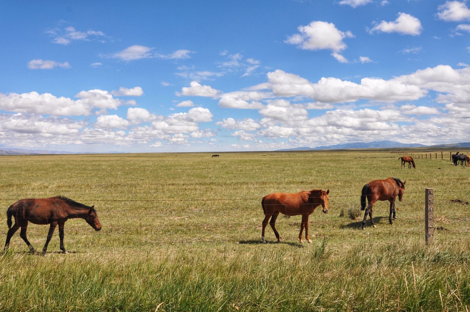 從蘭州租車去西北玩怎么樣？