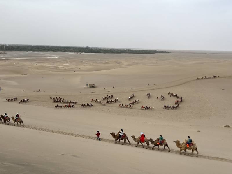 蘭州旅游包車，蘭州商務(wù)專車，蘭州途接送服務(wù)