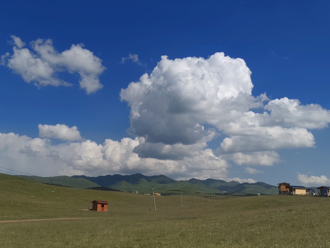 甘肅租車公司租車需要什么流程，推薦甘肅逐西租車公司