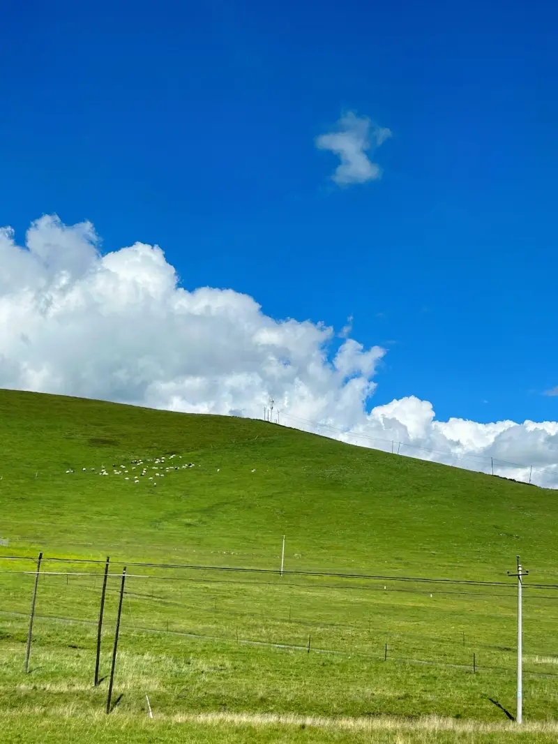 甘肅包車：青海甘肅環(huán)線包車自由行-甘肅包車線路定制
