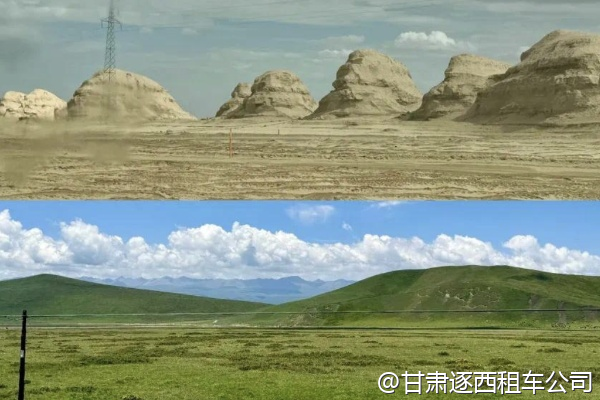 想租一輛埃爾法商務(wù)車，接待客戶考察河西走廊，有高端定制服務(wù)嗎？  