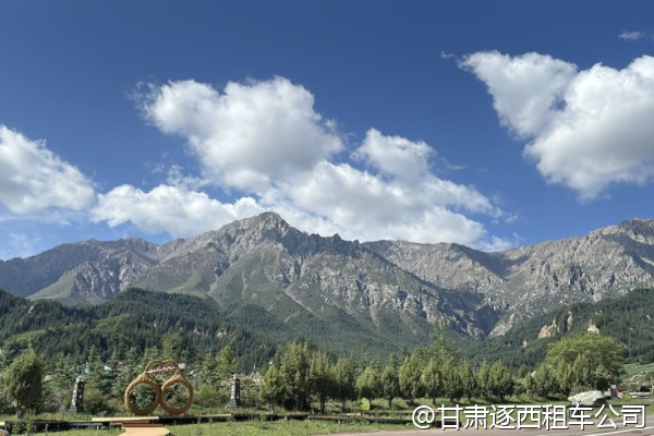 甘肅包車游，司機(jī)會不會推薦購物點(diǎn)？怎么避免踩坑？  