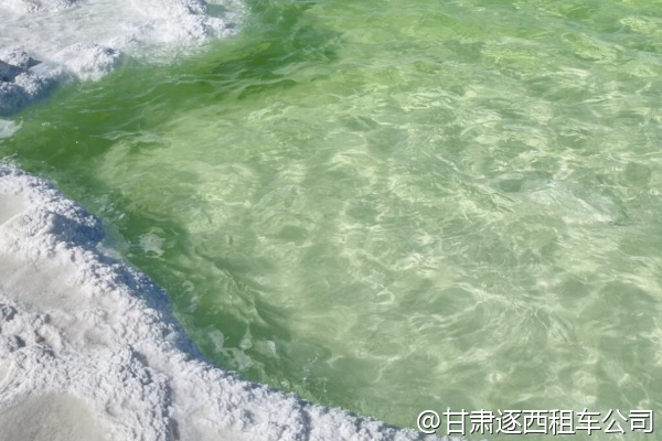 公司會(huì)議結(jié)束后想包車游覽敦煌，半天時(shí)間夠嗎？  