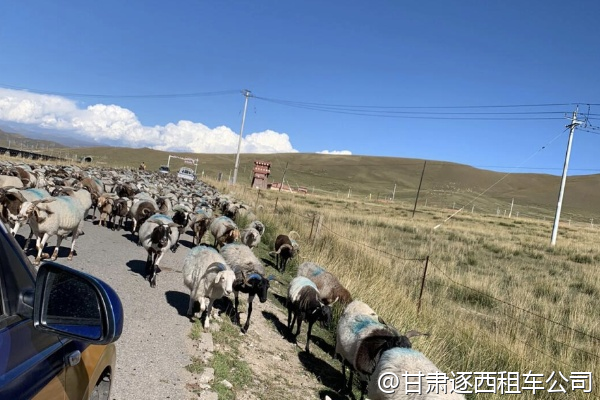 蘭州到迭部扎尕那，包車(chē)路上有休息站嗎？  